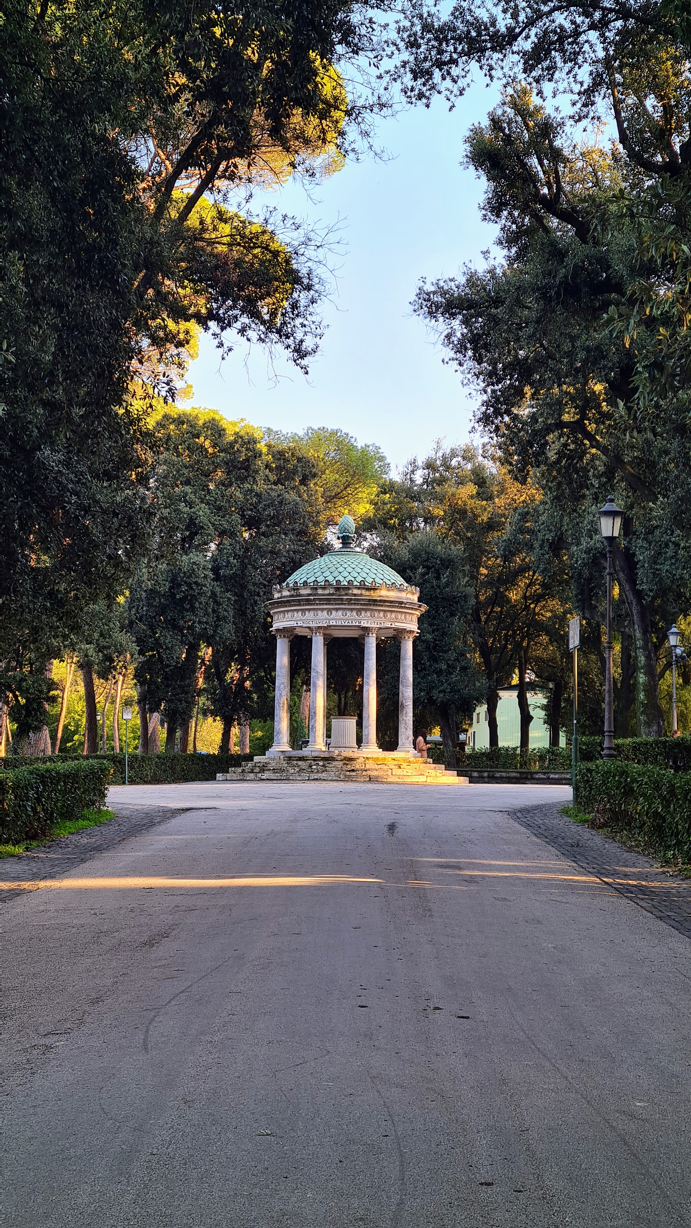 Roma