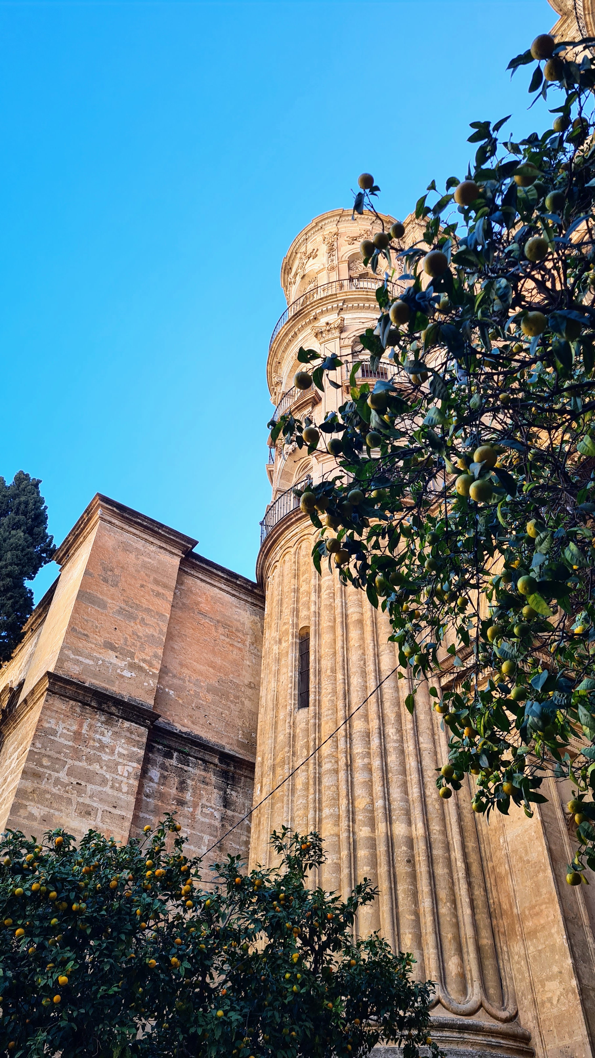 Malaga. Cathedral