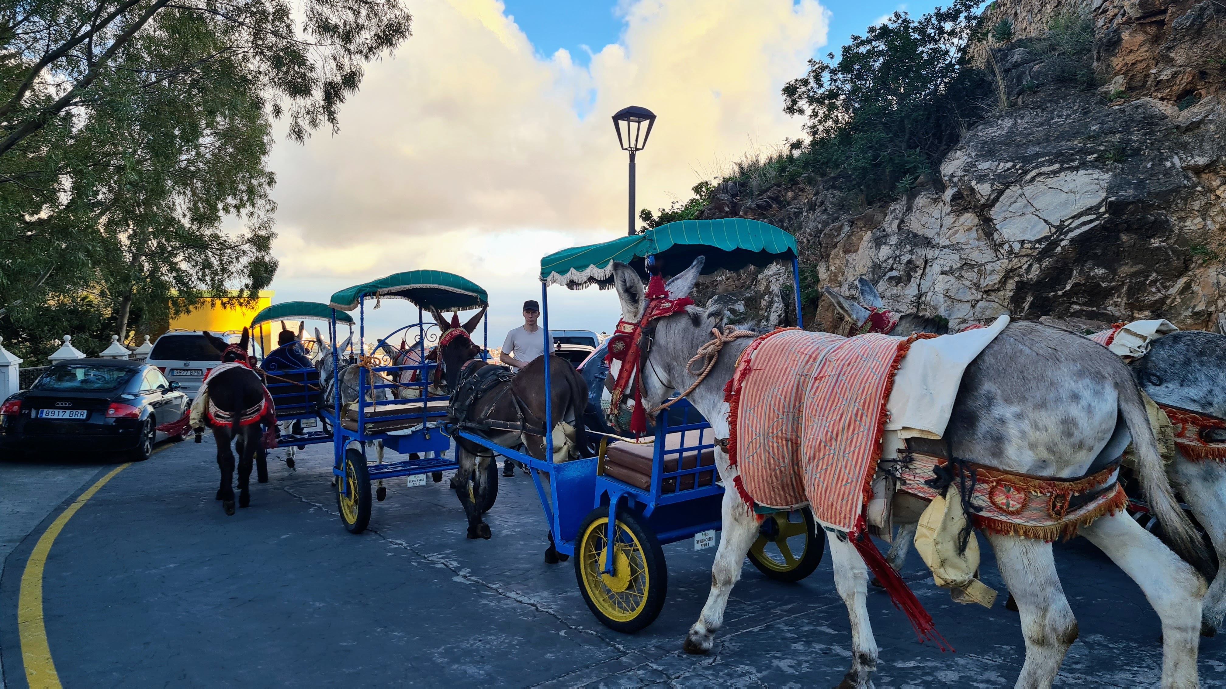mijas