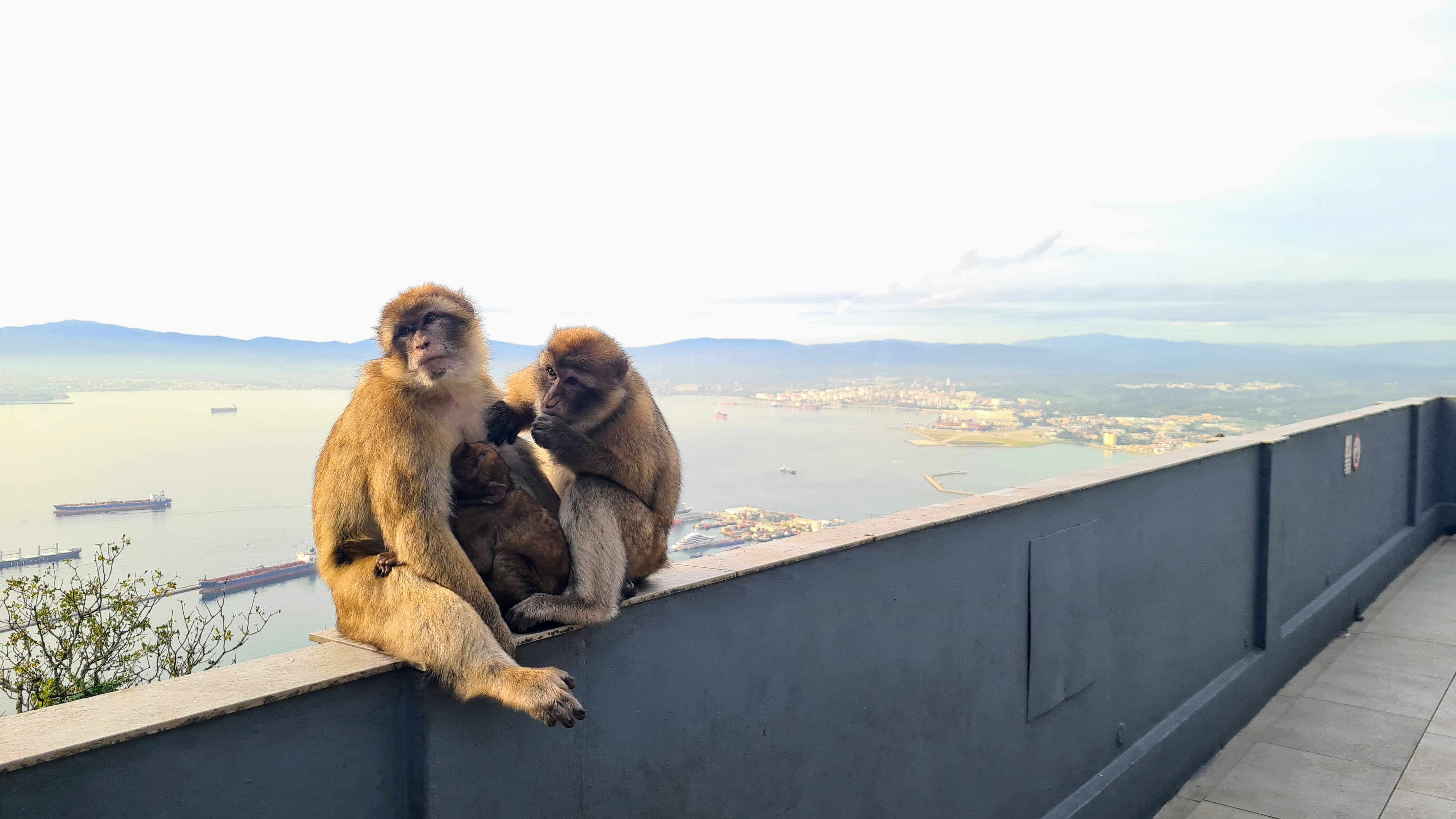 gibraltar